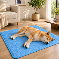 Cooling Dog Mat | CoolPaws